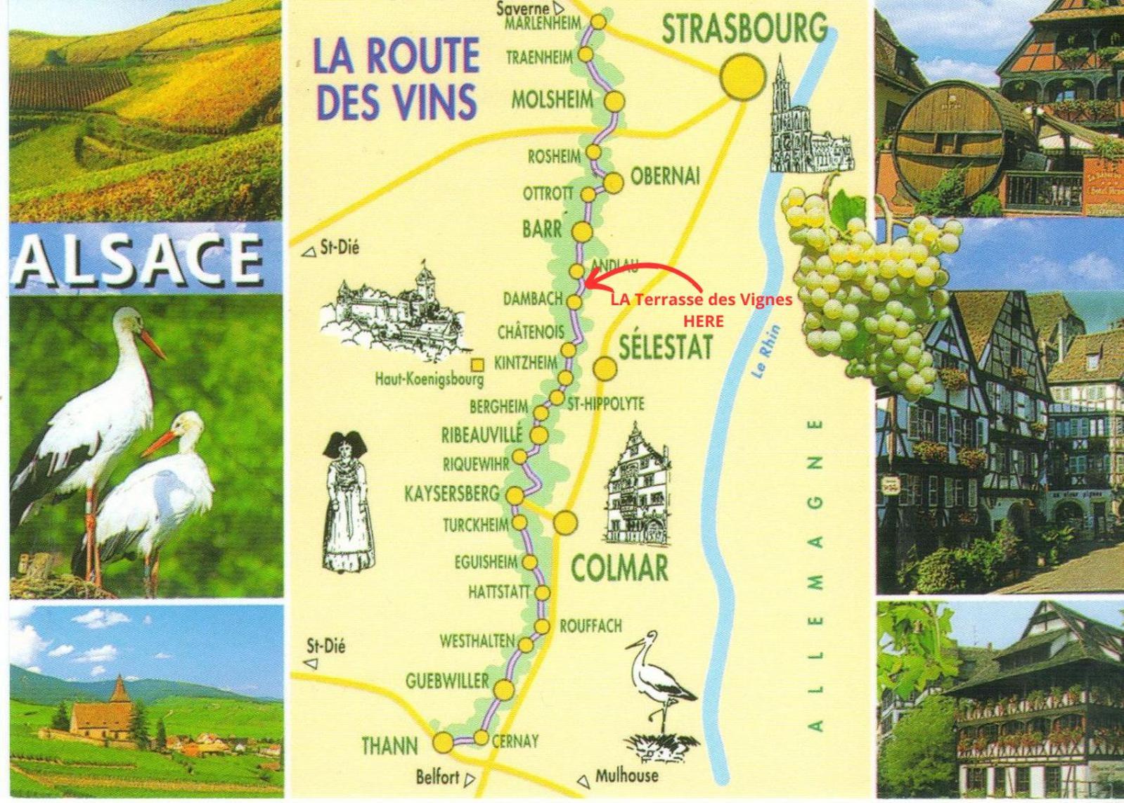 La Terasse Des Vignes - Maison 2 Chambres - 4 Personnes Blienschwiller Eksteriør billede